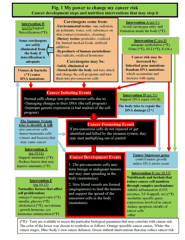 Knockout Interview Preventing Cancer Chart